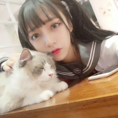 乾坤战域破解版下载